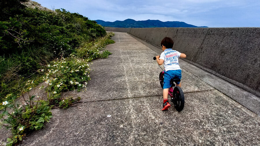 子どもと堤防沿いを散歩している写真